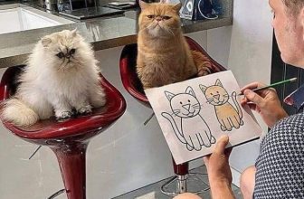 [🆕🇻🇳] Thú Cưng 🐶🦜 Top1Pets 🐱🐠 Mới tốt nghiệp khoá học vẽ trên mạng
, shares-9✔️ , likes-24❤️️ , date-2023-07-02 18:59:18🐶🐱🇻🇳🇻🇳🇻🇳📰🆕