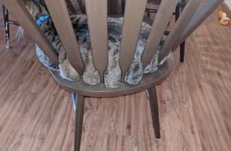 [🆕🇻🇳] Thú Cưng 🐶🦜 Top1Pets 🐱🐠 Mỡ tràn
, shares-1✔️ , likes-64❤️️ , date-2023-07-19 18:14:34🐶🐱🇻🇳🇻🇳🇻🇳📰🆕