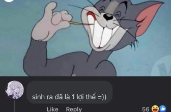 [🆕🇻🇳] Diễn đàn Toán học Việt Nam 📚 Top1Learn 📕 Khóc ròng trước đề Toán 2018
Ảnh: W2WCartoon
, shares-5✔️ , likes-625❤️️ , date-2023-08-04 20:02:36🇻🇳🇻🇳🇻🇳📰🆕