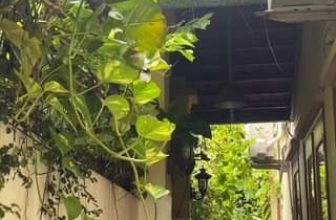 [☕️🇻🇳] Capella Specialty Coffee 🥤 Top1Coffee ☕️ Enjoy a peaceful afternoon at Capella   #cafevlog #coffee #chill #hotay #capellaspecialtycoffee #capellacoffeeroaster
Tận hưởng  , shares-0✔️ , likes-0❤️️ , date-2023-08-30 13:48:56🇻🇳🇻🇳🇻🇳📰🆕