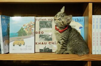 [☕️🇻🇳] Nhã Nam Books N’ Coffee 🥤 Top1Coffee ☕️ Nhân viên mới Hạt Bơ vừa hỏi: – Chị ơi, lễ mình có nghỉ không ạ?
– HÔNG BÉ ƠI, MÌNH MỞ XUYÊN LỄ. Chúng mình sẽ vẫn chăm chỉ mở  , shares-1✔️ , likes-41❤️️ , date-2023-08-30 14:01:35🇻🇳🇻🇳🇻🇳📰🆕