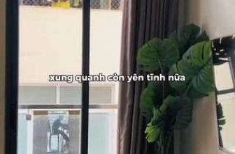 [🏙🇻🇳] G9 Homestay – Your second home 🏙️ Top1Land 🏠 YÊU TỪ CÁI NHÌN ĐẦU TIÊN
#G9Homestay #homestaygiatot #homestayviewdep #homestaydep #homestayhcm #homestay #homestaysaigon #vietnamhomestay
, shares-0✔️ , likes-0❤️️ , date-2023-09-28 16:00:41🇻🇳🇻🇳🇻🇳📰🆕