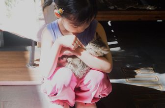 [☕️🇻🇳] Nhã Nam Books N’ Coffee 🥤 Top1Coffee ☕️ Chúng mình đang ủ mưu đổi tên Hạt Bơ thành Hạt Ghiền, Hạt Dễ Dãi gì đó. Vì em bé này ai cũng mê, bất kể giới tính độ tuổi và chắ , shares-0✔️ , likes-67❤️️ , date-2023-09-17 22:00:29🇻🇳🇻🇳🇻🇳📰🆕