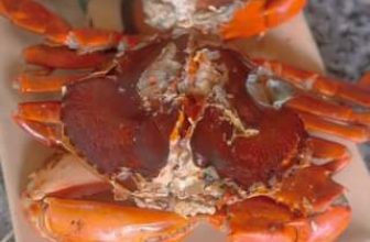 [☕️🇻🇳] Coffee HUỲNH HƯƠNG 🥤 Top1Coffee ☕️ Nắng vàng gộp khắp quê em
Đố anh nào biết quê em chỗ nào????
Cà Mau vùng đất tận cùng
Vô vàng HẢI  , shares-0✔️ , likes-5❤️️ , date-2023-10-08 18:10:51🇻🇳🇻🇳🇻🇳📰🆕