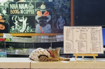 [☕️🇻🇳] Nhã Nam Books N’ Coffee 🥤 Top1Coffee ☕️ Ngày cuối cùng của tháng 9 mà trời ủ dột quá, bạn có đang ổn không?Hiệu sách vẫn mở cửa dù trời mưa không ngớt từ sớm, khách  , shares-0✔️ , likes-31❤️️ , date-2023-09-30 07:13:59🇻🇳🇻🇳🇻🇳📰🆕