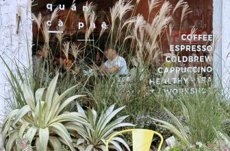 [☕️🇻🇳] ForDeer – Coffee with tree 🥤 Top1Coffee ☕️ Vì bạn là bông hoa rực rỡ nhất…Tháng 10, tháng của những bông hoa trong Rừng. Rừng tặng các bạn nữ góc check in siêu xịn siê , shares-0✔️ , likes-23❤️️ , date-2023-10-13 19:34:59🇻🇳🇻🇳🇻🇳📰🆕