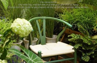 [☕️🇻🇳] ForDeer – Coffee with tree 🥤 Top1Coffee ☕️ Bạn đã check in góc mới của Rừng chưa? #Rừng_trú_ẩn
_____________________________
FORDEER COFFEE – RỪNG TRÚ ẨN
Cơ sở 1: 217 Tô , shares-1✔️ , likes-11❤️️ , date-2023-10-07 17:07:24🇻🇳🇻🇳🇻🇳📰🆕