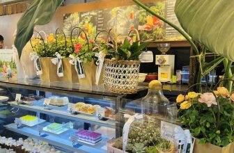 [☕️🇻🇳] ForDeer – Coffee with tree 🥤 Top1Coffee ☕️ RỪNG CHÚC MỪNG NGÀY PHỤ NỮ VIỆT NAM 20/10“Chúc cho bao cô gái
Cho “một nửa” yêu thương
Luôn an nhiên tự tại
Hạnh phúc cả ngày  , shares-0✔️ , likes-10❤️️ , date-2023-10-19 14:10:01🇻🇳🇻🇳🇻🇳📰🆕