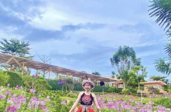 [☕️🇻🇳] Mê Linh Coffee Garden 🥤 Top1Coffee ☕️ Em là hương, là hoa cho ai ngắm nhìn
Em thướt tha, dịu dàng cho anh ngắm nhìnLại là 1 bông hoa xinh trong vườn hoa tươi đẹp , shares-7✔️ , likes-72❤️️ , date-2023-10-23 13:33:34🇻🇳🇻🇳🇻🇳📰🆕