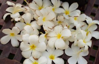 [🆕🇻🇳] Học Viện Đào Tạo Yoga International Angel Academy 🧘 Top1Yoga 🤸🏻‍♀️ Một khởi đầu nhỏ
————————-
𝗔𝗡𝗚𝗘𝗟𝗔 𝗬𝗢𝗚𝗔 𝗖𝗔̂̀𝗡 𝗧𝗛𝗢̛ | Fitness Yoga & Jumba Center
[𝗔]: C17-17 Đường D6, KDC Hoàng Quân, P. Thường Thạnh, Q.  , shares-0✔️ , likes-14❤️️ , date-2023-11-07 04:16:41🇻🇳🇻🇳🇻🇳📰🆕