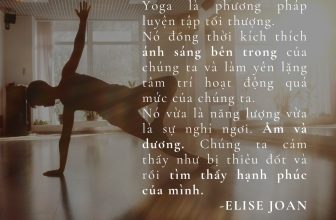 [🆕🇻🇳] Yogadaily – Trung tâm Yoga uy tín tại TPHCM 🧘 Top1Yoga 🧘 “Yoga là phương pháp luyện tập tối thượng. Nó đồng thời kích thích ánh sáng bên trong của chúng ta và làm yên lặng tâm trí hoạt động quá mức của chúng ta.  , shares-0✔️ , likes-1❤️️ , date-2023-11-13 00:00:26🇻🇳🇻🇳🇻🇳📰🆕