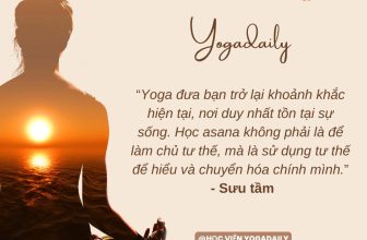 [🆕🇻🇳] Yogadaily – Trung tâm Yoga uy tín tại TPHCM 🧘 Top1Yoga 🧘 “Yoga đưa bạn trở lại khoảnh khắc hiện tại, nơi duy nhất tồn tại sự sống. Học asana không phải là để làm chủ tư thế, mà là sử dụng tư thế để hiểu và chuyển , shares-0✔️ , likes-2❤️️ , date-2023-11-20 00:00:25🇻🇳🇻🇳🇻🇳📰🆕