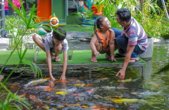 [☕️🇻🇳] Cà phê Ngọc Hà- Cafe sân vườn 🥤 Top1Coffee ☕️ [LỄ NÀY GIA ĐÌNH MÌNH  CÙNG CAFE NHA!!! ]
“Giờ thì ai cũng bận, hết việc ở cơ quan rồi lại về nhà lo cơm nước, lo kiểm tra bài  , shares-0✔️ , likes-6❤️️ , date-2018-08-30 13:31:08🇻🇳🇻🇳🇻🇳📰🆕