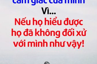 [🆕🇻🇳]  Queen fashion (Hàng fake tàu) – Hàng giá rẻ trung quốc 🧑‍🧒❤️️👶⭐️  , shares-20✔️ , likes-176❤️️ , date-2023-11-21 15:17:31🇻🇳🇻🇳🇻🇳📰🆕