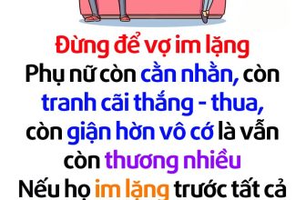 [🆕🇻🇳]  Queen fashion (Hàng fake tàu) – Hàng giá rẻ trung quốc 🧑‍🧒❤️️👶⭐️  , shares-35✔️ , likes-268❤️️ , date-2023-11-23 15:14:04🇻🇳🇻🇳🇻🇳📰🆕