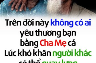 [🆕🇻🇳]  Queen fashion (Hàng fake tàu) – Hàng giá rẻ trung quốc 🧑‍🧒❤️️👶⭐️  , shares-41✔️ , likes-280❤️️ , date-2023-11-24 16:57:25🇻🇳🇻🇳🇻🇳📰🆕