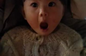 [🆕🇻🇳] Boone Baby – Chuyên quần áo, phụ kiện trẻ em cao 🧑‍🧒❤️️👶⭐️ LiuLiu lần đầu được coi nổ bỏng #liuliu #baby #babyboy #babygirl #babylove #cute  #embedangyeu #haihuoc #embehaihuoc #babycute #thoitrangtreem #boonebaby
, shares-0✔️ , likes-0❤️️ , date-2023-11-26 01:01:52🇻🇳🇻🇳🇻🇳📰🆕