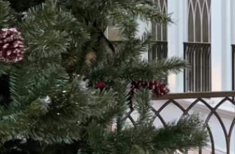 [🆕🇻🇳] The Nella👕 Top1Fashion 👗  READY FOR CHRISTMAS  #TheNella #dressdesign #specialoffer #december #red #dressforchristmas
SẴN SÀNG CHO GIÁNG SINH  #TheNella #dressdesign #specialoffer # , shares-4✔️ , likes-134❤️️ , date-2023-12-05 16:40:56🇻🇳🇻🇳🇻🇳📰🆕