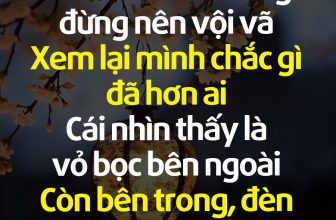 [🆕🇻🇳]  Queen fashion (Hàng fake tàu) – Hàng giá rẻ trung quốc 🧑‍🧒❤️️👶⭐️  , shares-91✔️ , likes-390❤️️ , date-2023-11-28 03:11:31🇻🇳🇻🇳🇻🇳📰🆕