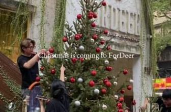 [☕️🇻🇳] ForDeer – Coffee with tree 🥤 Top1Coffee ☕️ Sau bao nhiêu ngày háo hức mong chờ thì Cây thông lớn nhất đã về đến Rừng rồi đâyy #Rừng_trú_ẩn #ForDeer_Coffee
, shares-0✔️ , likes-0❤️️ , date-2023-11-28 13:20:58🇻🇳🇻🇳🇻🇳📰🆕