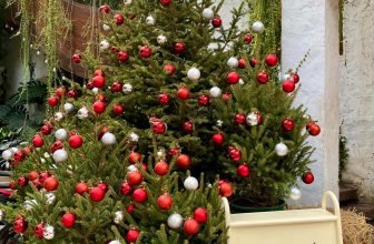 [☕️🇻🇳] ForDeer – Coffee with tree 🥤 Top1Coffee ☕️ Christmas vibes in ForDeerCốc cốc cốc… cây thông Giáng Sinh đã về,Noel đến rồi, Rừng thay áo mới, sắm những Cây thông xin xắ , shares-0✔️ , likes-25❤️️ , date-2023-11-29 01:12:18🇻🇳🇻🇳🇻🇳📰🆕