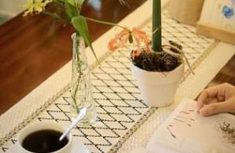 [☕️🇻🇳] PHD Book – Coffee 🥤 Top1Coffee ☕️ “ánh sáng mùa đông làm căn phòng ngập những hạt bụi li ti. Nỗi rối bời mà câu chuyện đêm qua khuấy lên trong tôi, giờ chỉ còn lạ , shares-0✔️ , likes-0❤️️ , date-2023-12-08 19:53:04🇻🇳🇻🇳🇻🇳📰🆕