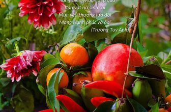 [🆕🇻🇳] Mood of I’ME 🍔 Top1Food 🍜 𝑻𝒉𝒂́𝒏𝒈 𝑮𝒊𝒆̂𝒏𝒈 𝒗𝒆̂̀….“Tháng Giêng _ Xuân đẹp quá
Vạn vật nở sinh sôi
Mùa yêu thương lứa đôi
Mang Hạnh phúc vỡ òaPhúc Lộc đến mọi nhà
Trầm bổng khúc  , shares-0✔️ , likes-1❤️️ , date-2024-02-23 20:37:42🇻🇳🇻🇳🇻🇳📰🆕