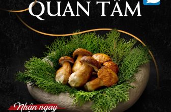 [🆕🇻🇳] ASHIMA MUSHROOM HOTPOT là chuỗi nhà hàng LẨU NẤM THIÊN NHIÊN 🍔 Top1Food 🍜 [HCM] Ashima thương tặng “món quà cho sức khỏe” khi thực khách quan tâm “nhà mới”Đón bạn ghé thăm nhà mới trên nền tảng Zalo OA, Ashima tặng 01 phần Nấm  , shares-24✔️ , likes-32K❤️️ , date-2023-12-26 01:00:00🇻🇳🇻🇳🇻🇳📰🆕