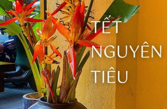 [🆕🇻🇳] Mood of I’ME 🍔 Top1Food 🍜 𝐌𝐎́𝐍 𝐀̆𝐍 𝐍𝐇𝐀̀ 𝐁𝐎̂̃𝐍𝐆 – 𝐏𝐇𝐎𝐍𝐆 𝐏𝐇𝐔́ 𝐍𝐆𝐀̀𝐘 𝐑Ằ𝐌 𝐓𝐇𝐀́𝐍𝐆 𝐆𝐈𝐄̂𝐍𝐆Đối với mỗi người Việt, rằm tháng Giêng là một trong những ngày quan trọng nhất trong năm. Ngày  , shares-0✔️ , likes-3❤️️ , date-2024-02-23 19:20:14🇻🇳🇻🇳🇻🇳📰🆕