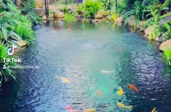 [☕️🇻🇳]  Minh Coffee 🥤 Top1Coffee ☕️ Trong veo
, shares-0✔️ , likes-0❤️️ , date-2024-01-06 16:32:31🇻🇳🇻🇳🇻🇳📰🆕