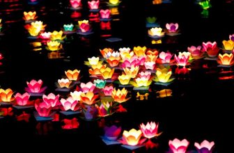 [☕️🇻🇳] Cà phê Ngọc Hà- Cafe sân vườn 🥤 Top1Coffee ☕️ [ĐÊM HỘI HOA ĐĂNG – THẢ ĐÈN DƯỚI TRĂNG]
Hòa trong không khí đón Tết Trung thu, 14 và 15 tháng 8 (âm lịch) này tại Cafe Ngọc Hà  , shares-0✔️ , likes-9❤️️ , date-2018-09-17 21:29:15🇻🇳🇻🇳🇻🇳📰🆕