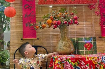 [🆕🇻🇳]  RainBow Design – Thế giới sơ mi cho các hoàng tử nhỏ 