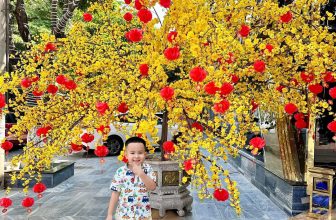 [🆕🇻🇳]  RainBow Design – Thế giới sơ mi cho các hoàng tử nhỏ 