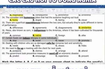 [🆕🇻🇳] Tiếng Anh thầy Tiểu Đạt – chuyên luyện thi Đại Học 📚 Top1Learn 📕 Các câu hỏi Từ đồng nghĩa hay thi – dễ trúng tủ
, shares-0✔️ , likes-11K❤️️ , date-2024-06-08 16:00:25🇻🇳🇻🇳🇻🇳📰🆕