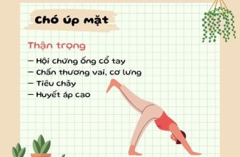 [🆕🇻🇳] Học Viện Đào Tạo Yoga International Angel Academy 🧘 Top1Yoga 🤸🏻‍♀️ Những lưu ý và thận trọng khi tập một số động tác trong Yoga. Namaster
, shares-1✔️ , likes-5❤️️ , date-2024-02-28 09:24:52🇻🇳🇻🇳🇻🇳📰🆕