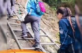 [🆕🇻🇳] Đạt Anh Yoga Flow 🧘 Top1Yoga 🧘 Khám phá thêm trong Video
, shares-0✔️ , likes-49❤️️ , date-2024-03-12 17:02:19🇻🇳🇻🇳🇻🇳📰🆕