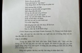 [🆕🇻🇳] Hội Chuyên Văn 📚 Top1Learn 📕 Đề HSG 9 tỉnh Đắk Nông
, shares-9✔️ , likes-12❤️️ , date-2024-03-10 14:28:11🇻🇳🇻🇳🇻🇳📰🆕