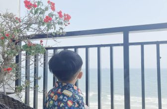 [🆕🇻🇳]  RainBow Design – Thế giới sơ mi cho các hoàng tử nhỏ 