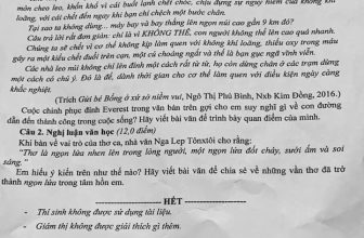 [🆕🇻🇳] Hội Chuyên Văn 📚 Top1Learn 📕 Đề HSG Văn 9
, shares-16✔️ , likes-43❤️️ , date-2024-03-05 22:29:04🇻🇳🇻🇳🇻🇳📰🆕