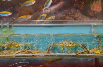 [🆕🇻🇳] Hải Sản Phố – 48 Liễu Giai 🍔 Top1Food 🍜  𝑲𝒉𝒂́𝒎 𝒑𝒉𝒂́ “𝒃𝒊𝒆̂̉𝒏” 𝒉𝒂̉𝒊 𝒔𝒂̉𝒏 𝒈𝒊𝒖̛̃𝒂 𝒍𝒐̀𝒏𝒈 𝒑𝒉𝒐̂́ 𝒕𝒉𝒊̣Nằm nổi bật tại một góc phố đông người qua lại, Hải Sản Phố Liễu Giai luôn giữ được một nét rất riê , shares-0✔️ , likes-15❤️️ , date-2024-03-19 23:50:30🇻🇳🇻🇳🇻🇳📰🆕