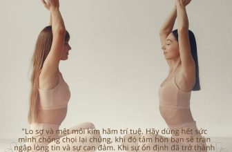 [🆕🇻🇳] Livan Studio ⚽ Top1Sport ⛹️‍♂️ “Lo sợ và mệt mỏi kìm hãm trí tuệ. Hãy dùng hết sức mình chống chọi lại chúng, khi đó tâm hồn bạn sẽ tràn ngập lòng tin và sự can đảm. Khi sự ổn định đã tr , shares-0✔️ , likes-6❤️️ , date-2024-03-22 01:00:17🇻🇳🇻🇳🇻🇳📰🆕