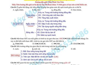 [🆕🇻🇳] SINH HỌC 4.0 – Thầy Nguyễn Duy Khánh 📚 Top1Learn 📕 Đáp án chi tiết đề thi tham khảo môn Sinh học năm 2024.
Một sản phẩm tâm huyết và rất đẹp mắt của thầy Đinh Văn Tiên.
, shares-250✔️ , likes-249❤️️ , date-2024-03-23 23:50:27🇻🇳🇻🇳🇻🇳📰🆕