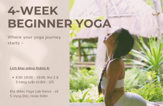 [🆕🇻🇳] Yoga Lab Hanoi – Holistic Wellness Studio in Ha Noi ~ Yoga • Reiki • Retreats ~ 🧘 Top1Yoga 🤸🏻‍♀️ Tuyển sinh khoá Yoga Nền Tảng & Cơ Bản 4 tuần (khoá 30)Khoá Yoga Nền Tảng & Cơ Bản là chương trình được xây dựng xen kẽ giữa Yin (yoga âm) và Hatha/ Viny , shares-1✔️ , likes-13❤️️ , date-2024-03-20 16:22:40🇻🇳🇻🇳🇻🇳📰🆕