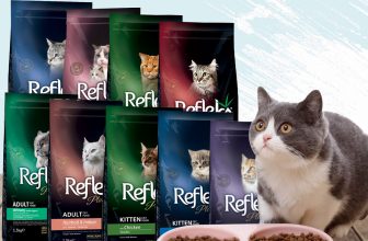 [🆕🇻🇳] Miao Petshop – Phụ kiện thú cưng 🐶🦜 Top1Pets 🐱🐠 Refleks Adult, Kitten Plus, Hạt cho mèo Reflek Plus dành cho mọi lứa tuổiKHÔNG PHẢI HÀNG GIẢ, Công ty Refleks LLC đã mua lại công thức của Reflex, cải ti , shares-0✔️ , likes-0❤️️ , date-2024-04-03 16:00:06🐶🐱🇻🇳🇻🇳🇻🇳📰🆕