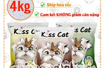 [🆕🇻🇳] Miao Petshop – Phụ kiện thú cưng 🐶🦜 Top1Pets 🐱🐠 Cát vệ sinh cho mèo Kiss cat siêu thấm hút và siêu vón cục 8.8L 4kg
THÔNG TIN SẢN PHẨM:
Cát vệ sinh cho mèo Kiss Cat là sản phẩm cát vệ sinh cho mèo rất an , shares-0✔️ , likes-0❤️️ , date-2024-04-03 20:00:17🐶🐱🇻🇳🇻🇳🇻🇳📰🆕