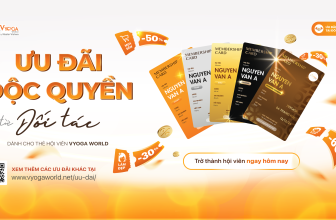 [🆕🇻🇳] Vyoga World By Master Vishwa – Hệ thống phòng tập Yoga Ấn Độ 🧘 Top1Yoga 🧘 Trở thành hội viên Vyoga World ngay hôm nay để tận hưởng những ưu đãi tuyệt vời từ các đối tác hàng đầu của chúng tôi trong các lĩnh vực: làm đẹp, sức khỏe , shares-1✔️ , likes-23❤️️ , date-2024-04-04 16:42:39🇻🇳🇻🇳🇻🇳📰🆕