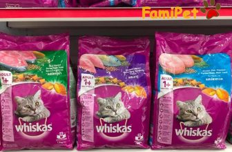 [🆕🇻🇳] FamiPet – Siêu Thị Cho Thú Cưng 🐶🦜 Top1Pets 🐱🐠  𝐓𝐡𝐮̛́𝐜 𝐚̆𝐧 𝐦𝐞̀𝐨 𝐖𝐡𝐢𝐬𝐤𝐚𝐬 𝐯𝐢̣ 𝐂𝐚́ 𝐍𝐠𝐮̛̀, 𝐂𝐚́ 𝐓𝐡𝐮, 𝐂𝐚́ 𝐁𝐢𝐞̂̉𝐧 𝐭𝐮́𝐢 𝟏,𝟐𝐤𝐠
Xuất xứ: Thái LanHạt thức ăn cung cấp cho những chú mèo lớn những dưỡng chất và  , shares-0✔️ , likes-3❤️️ , date-2024-04-14 17:46:32🐶🐱🇻🇳🇻🇳🇻🇳📰🆕