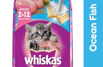 [🆕🇻🇳] FamiPet – Siêu Thị Cho Thú Cưng 🐶🦜 Top1Pets 🐱🐠   Theo nghiên cứu:  Nhu cầu Protein của Mèo cao gấp 6 lần nhu cầu Con người. Nhu cầu Calcium của Mèo cao gấp 4 lần nhu cầu Con người. Vì vậy, mèo cưng của  , shares-0✔️ , likes-2❤️️ , date-2024-04-14 17:44:22🐶🐱🇻🇳🇻🇳🇻🇳📰🆕