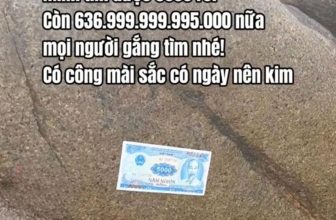 [🆕🇻🇳] BK SPORT – Chuyên đồ tập Gym & Yoga 🧘 Top1Yoga 🧘 Cố lên mn ơiiii
, shares-0✔️ , likes-2❤️️ , date-2024-04-18 00:35:27🇻🇳🇻🇳🇻🇳📰🆕