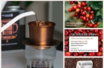 [☕️🇻🇳] The Coffee House Việt Nam 🥤 Top1Coffee ☕️ CÙNG CÀ PHÊ HẠT RANG ĐẶC SẢN SIGNATURE PHIN KHỞI ĐẦU NGÀY MỚI!
Mời bạn ưu đãi 20% + FREESHIP tại đây:Từ cao nguyên Đắk Lắk, từng hạt Fine Robusta được , shares-7✔️ , likes-12K❤️️ , date-2024-04-16 01:00:29🇻🇳🇻🇳🇻🇳📰🆕